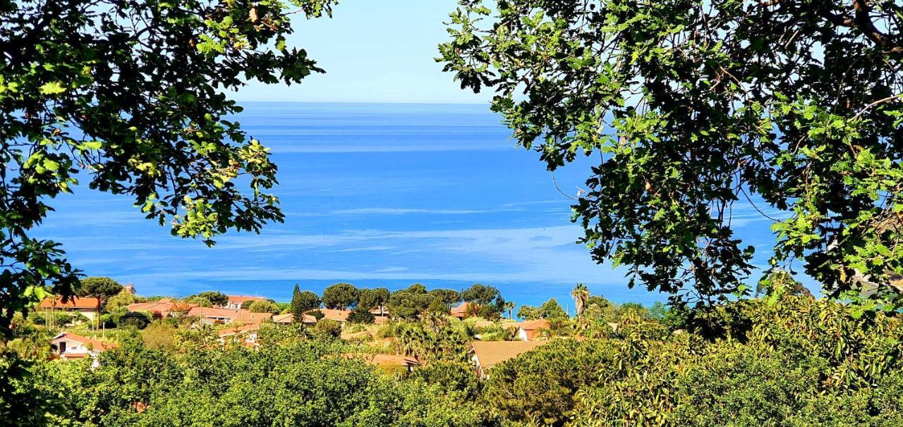 Naturamare Apartments - Piscina Idromassaggio Con Vista Mare Aperta Fino Alle Ore 22-00 Capo Vaticano Εξωτερικό φωτογραφία